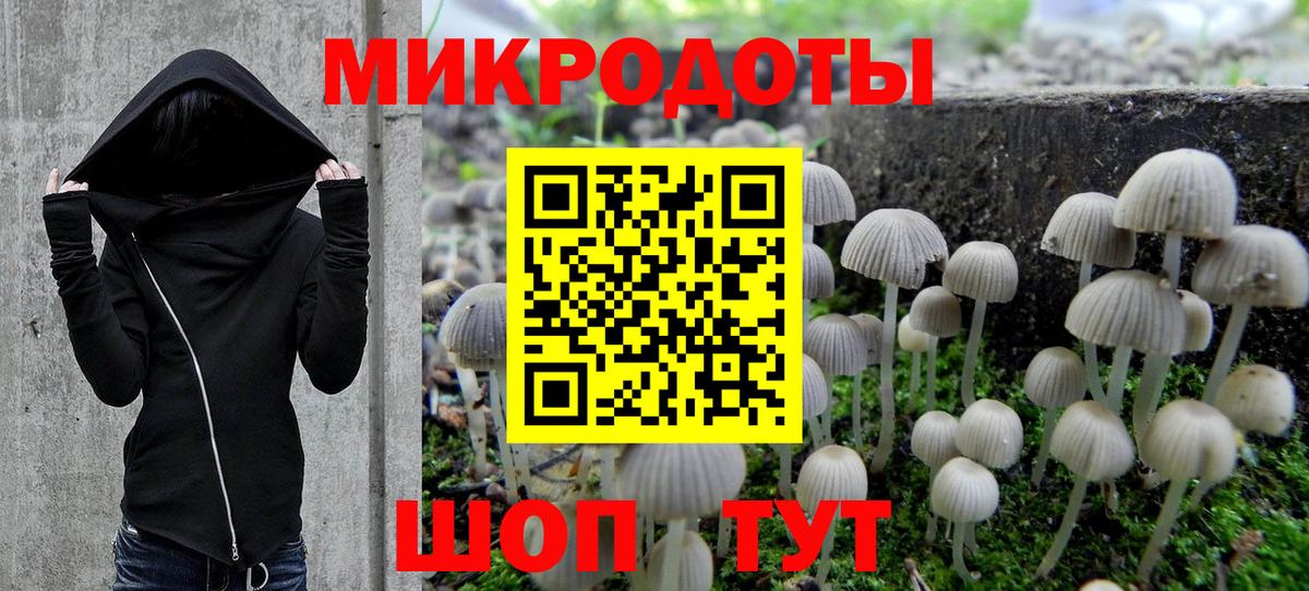 Галлюциногенные грибы прущие грибы  Псилоцибиновые грибы ЛСД  Белгород  купить   Вход с VPN 