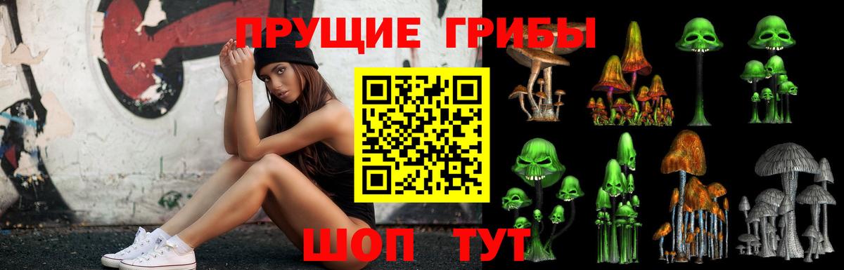Галлюциногенные грибы прущие грибы Белгород